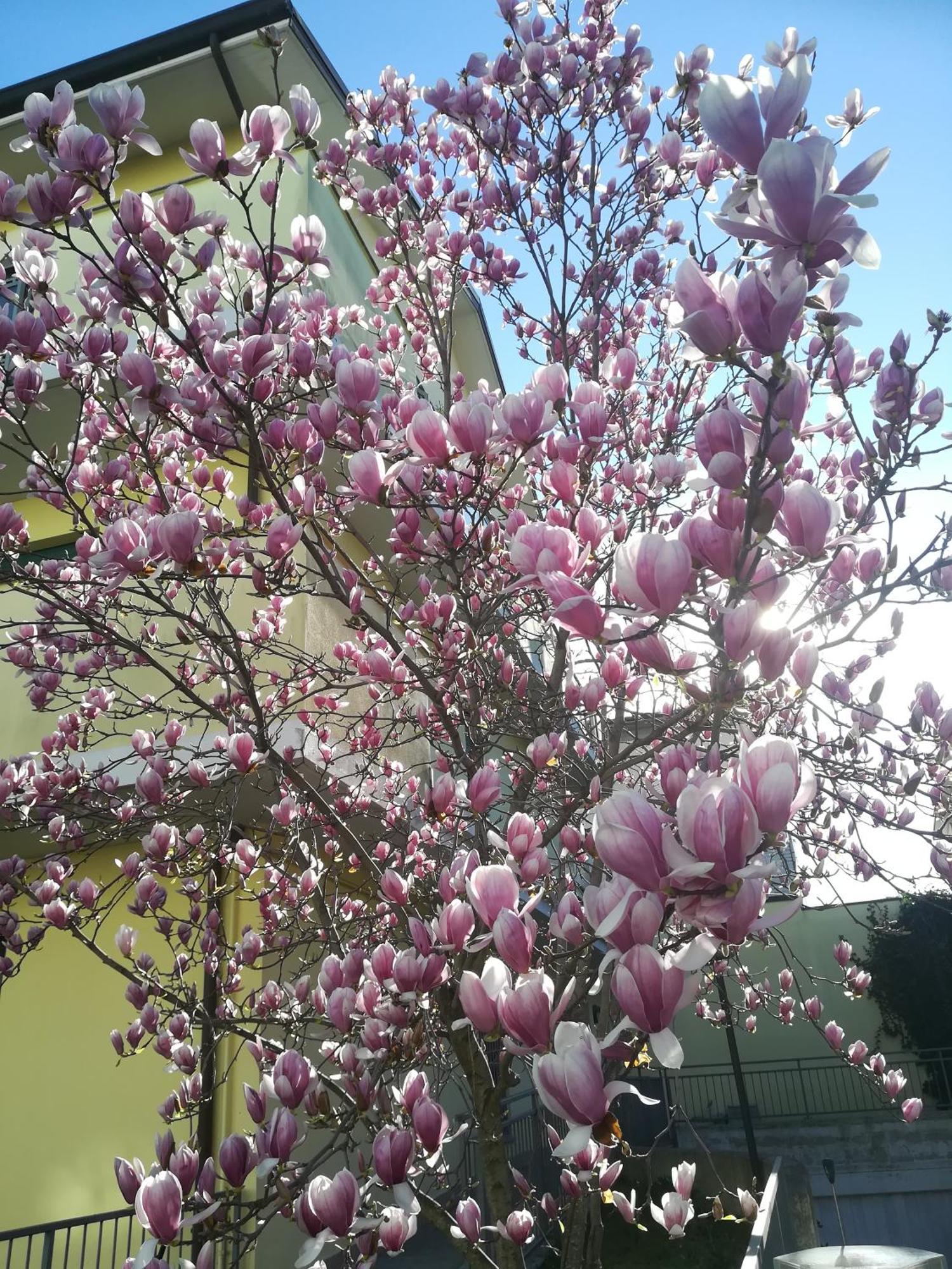 Сasa de vacaciones La Magnolia Di Rávena