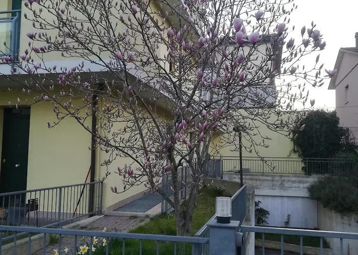 La Magnolia Di Ravenna